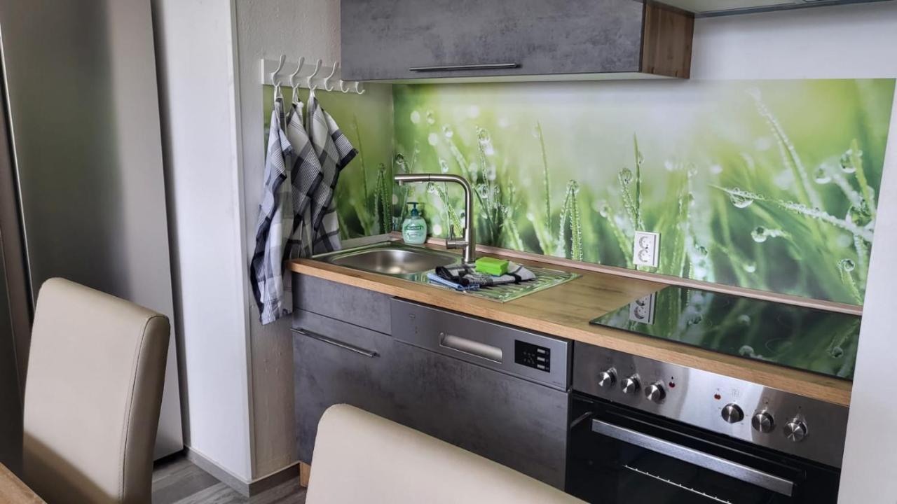 Ferienwohnung Marie-Luise Hahnenklee Γκόσλαρ Εξωτερικό φωτογραφία